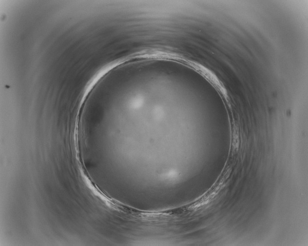 X0000086760863200704131114
