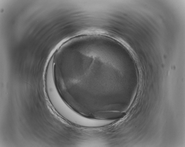 X0000086760864200704131114