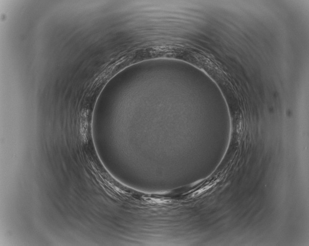 X0000086760868200704131113