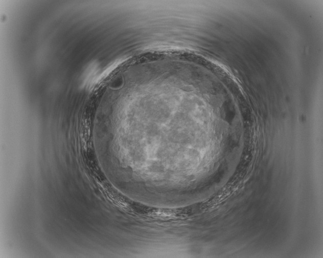 X0000086760871200704131113