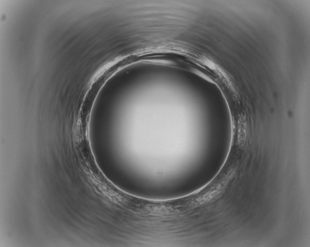 X0000086760876200704131113