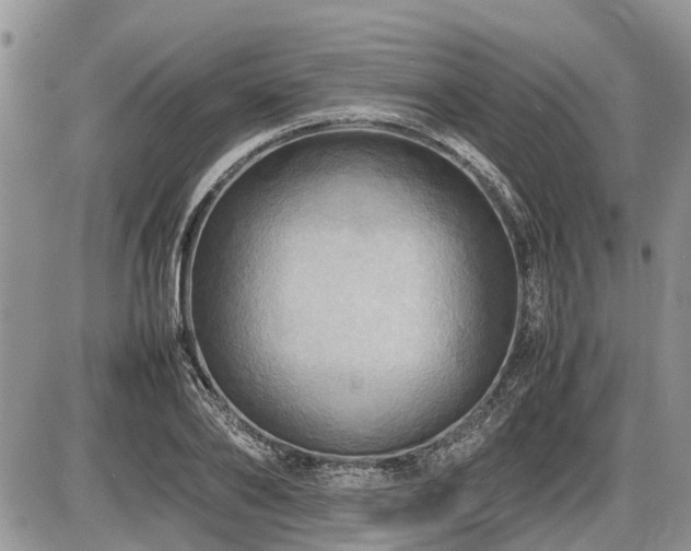 X0000086760886200704131113