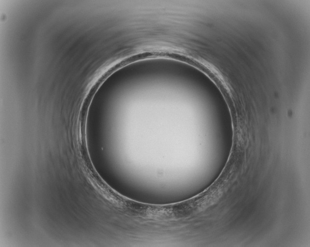 X0000086760887200704131113
