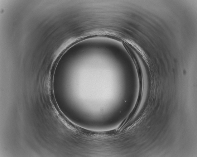 X0000086760894200704131113