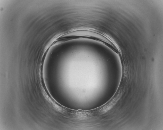 X0000086760906200704131112