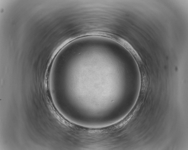 X0000086760908200704131112