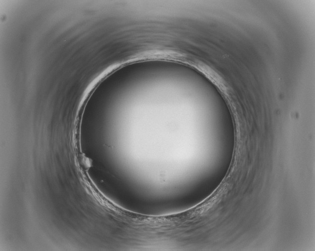 X0000086760912200704131112