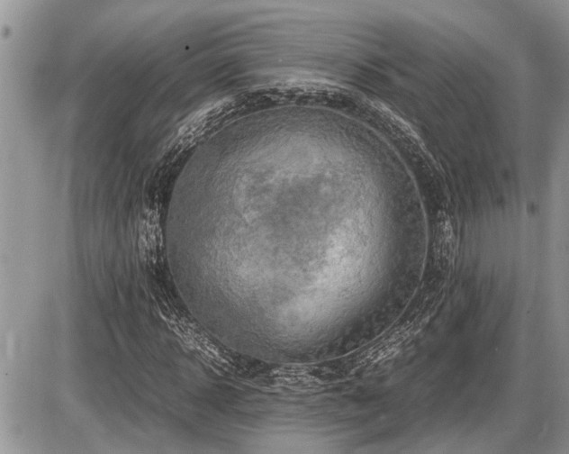 X0000086760918200704131112