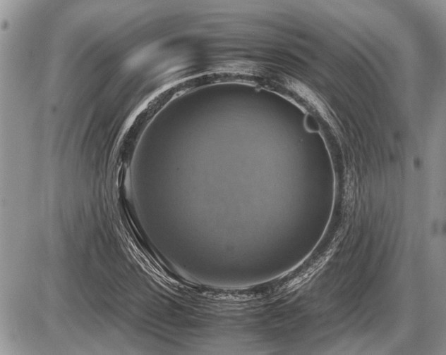 X0000086760923200704131112