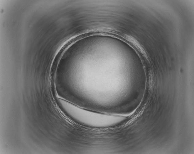 X0000086760924200704131112