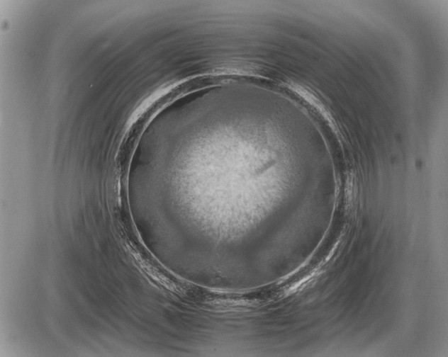 X0000086760925200704131112