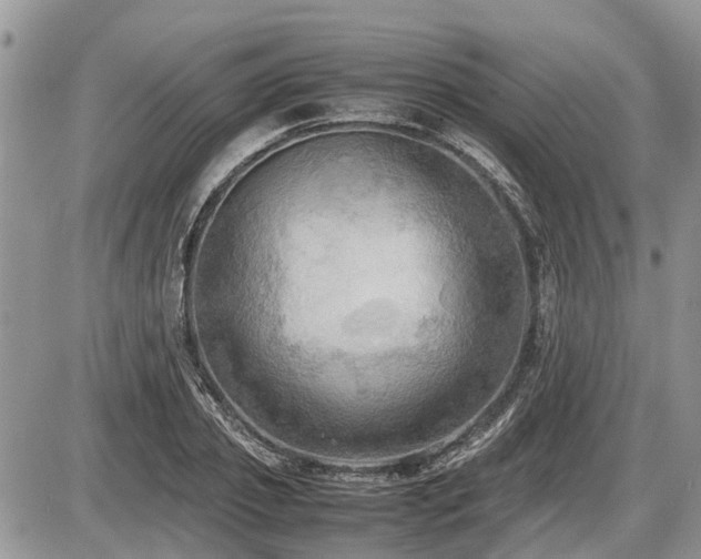 X0000086760933200704131112