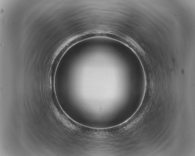 X0000086760934200704131112