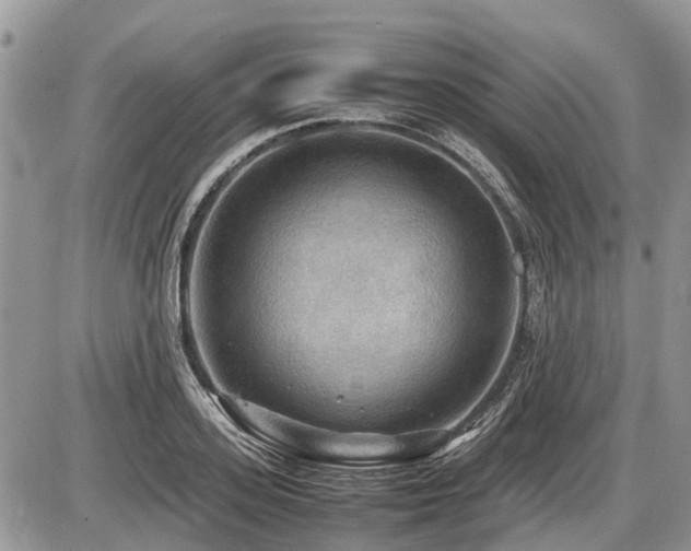 X0000086760939200704131112