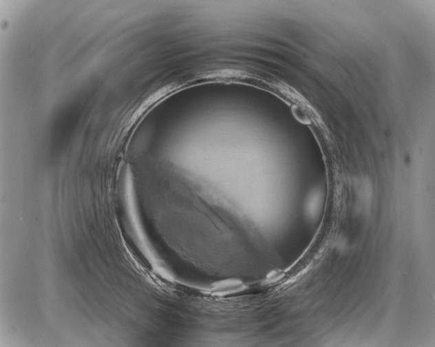 X0000086760945200704131112
