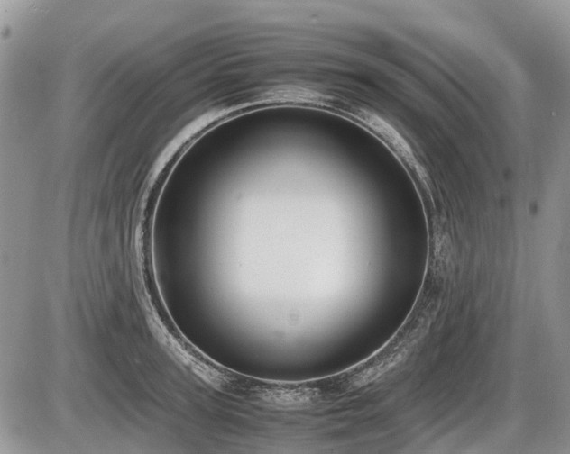 X0000086760947200704131112