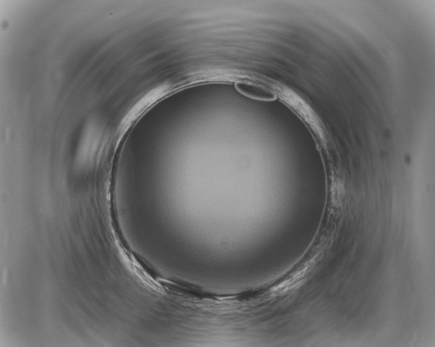 X0000086760954200704131112