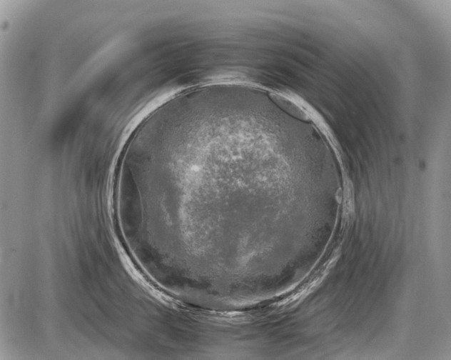 X0000086760957200704131112