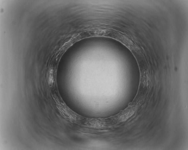 X0000086760962200704131112