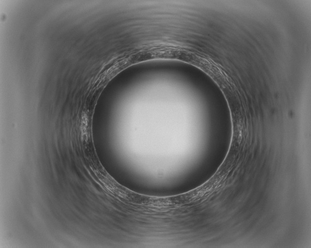 X0000086760964200704131112