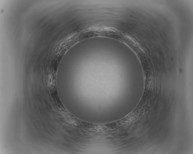 X0000086760966200704131111