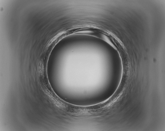 X0000086760969200704131111