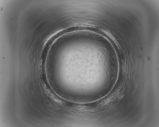 X0000086760971200704131111