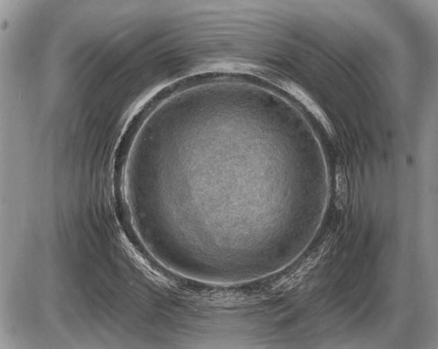 X0000086760972200704131111