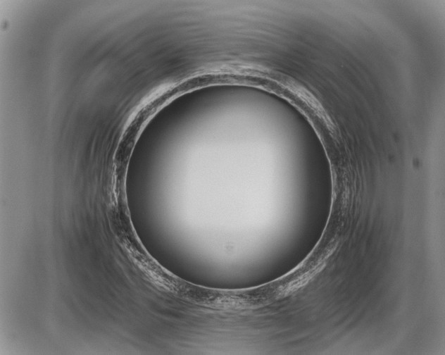 X0000086760974200704131111