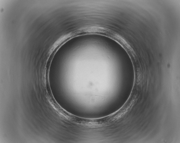 X0000086760986200704131111