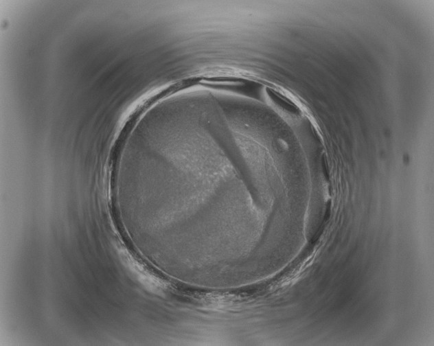X0000086760987200704131111