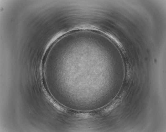 X0000086760990200704131111