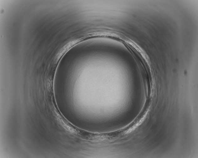X0000086760993200704131111