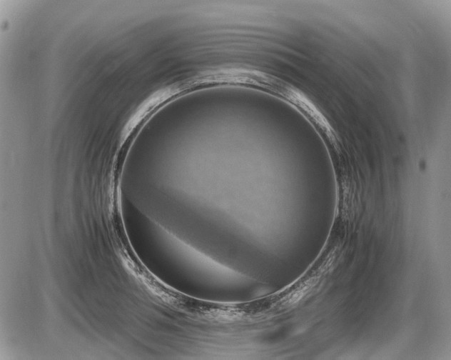 X0000086760994200704131111