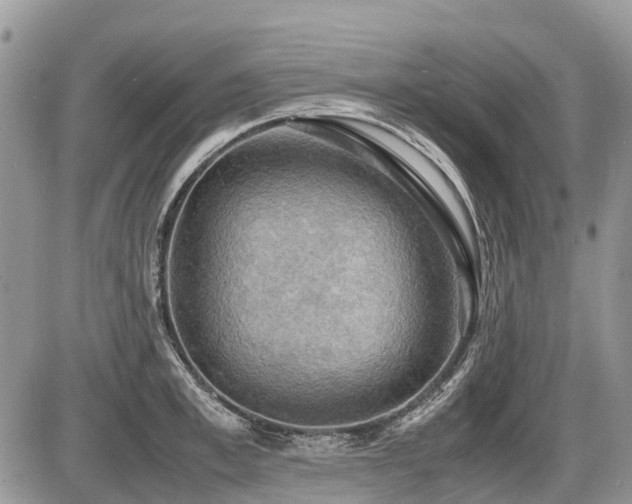 X0000086760997200704131111