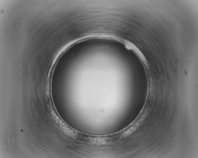X0000086761004200704131111