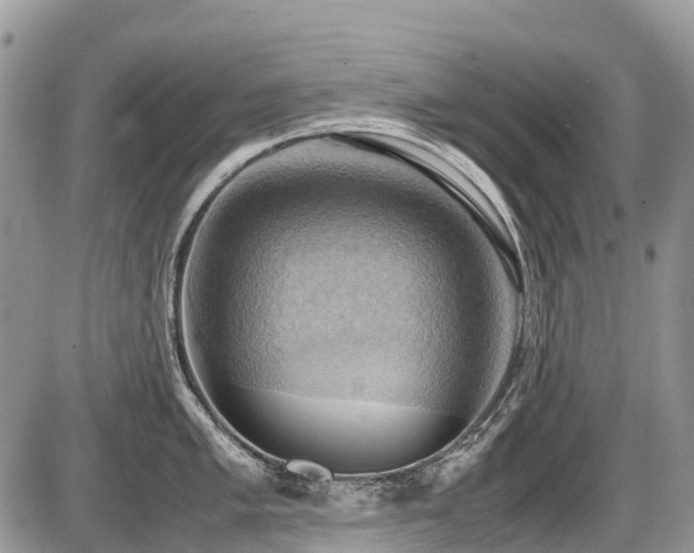 X0000086761005200704131111