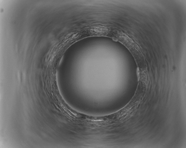 X0000086761009200704131110
