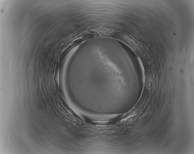 X0000086761010200704131110