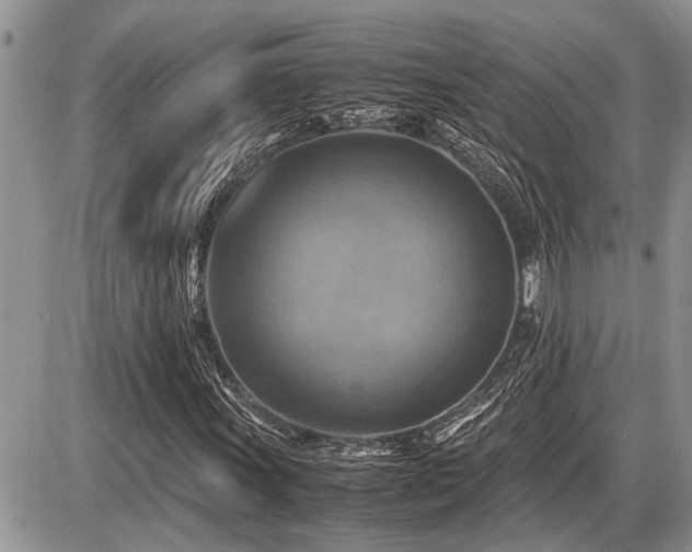 X0000086761011200704131110