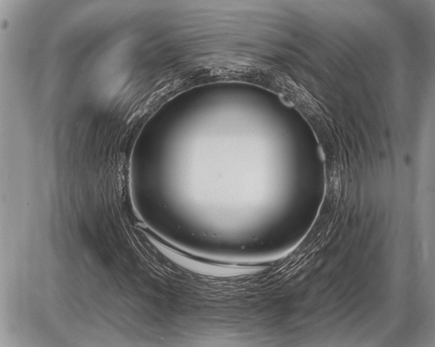 X0000086761012200704131110