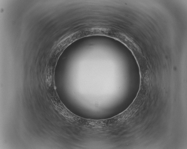 X0000086761015200704131110