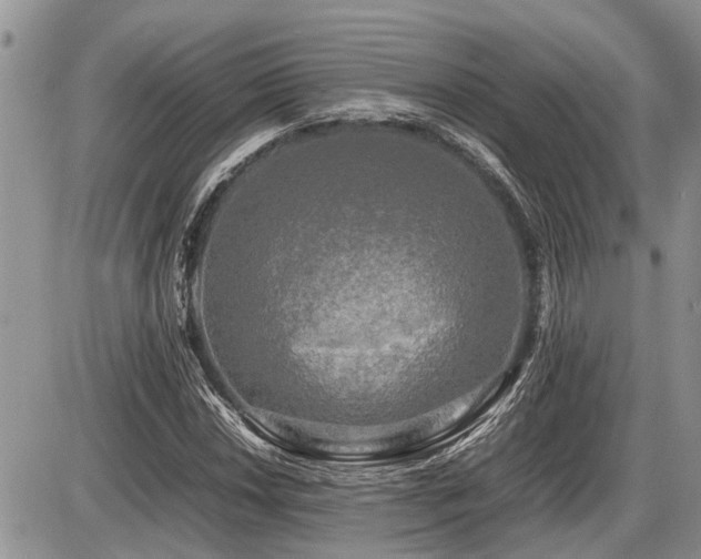 X0000086761018200704131110