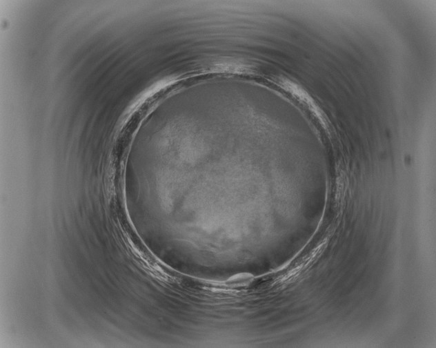 X0000086761019200704131110