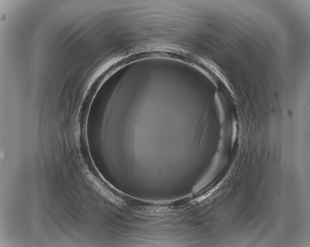 X0000086761024200704131110