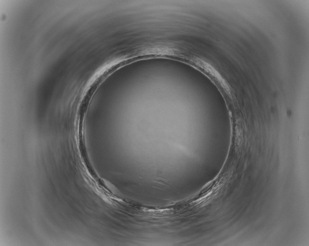 X0000086761035200704131110