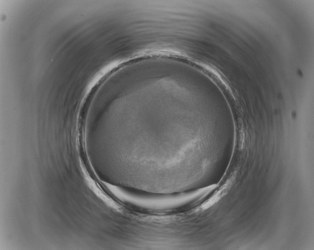 X0000086761038200704131110