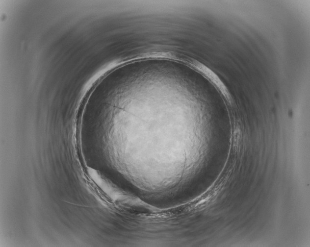 X0000086761051200704131111