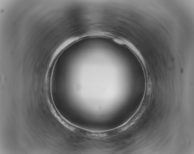 X0000086761053200704131111