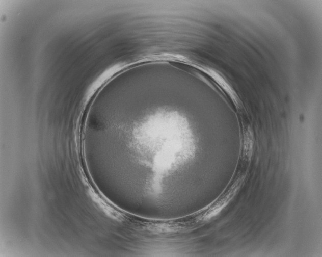 X0000086761054200704131111